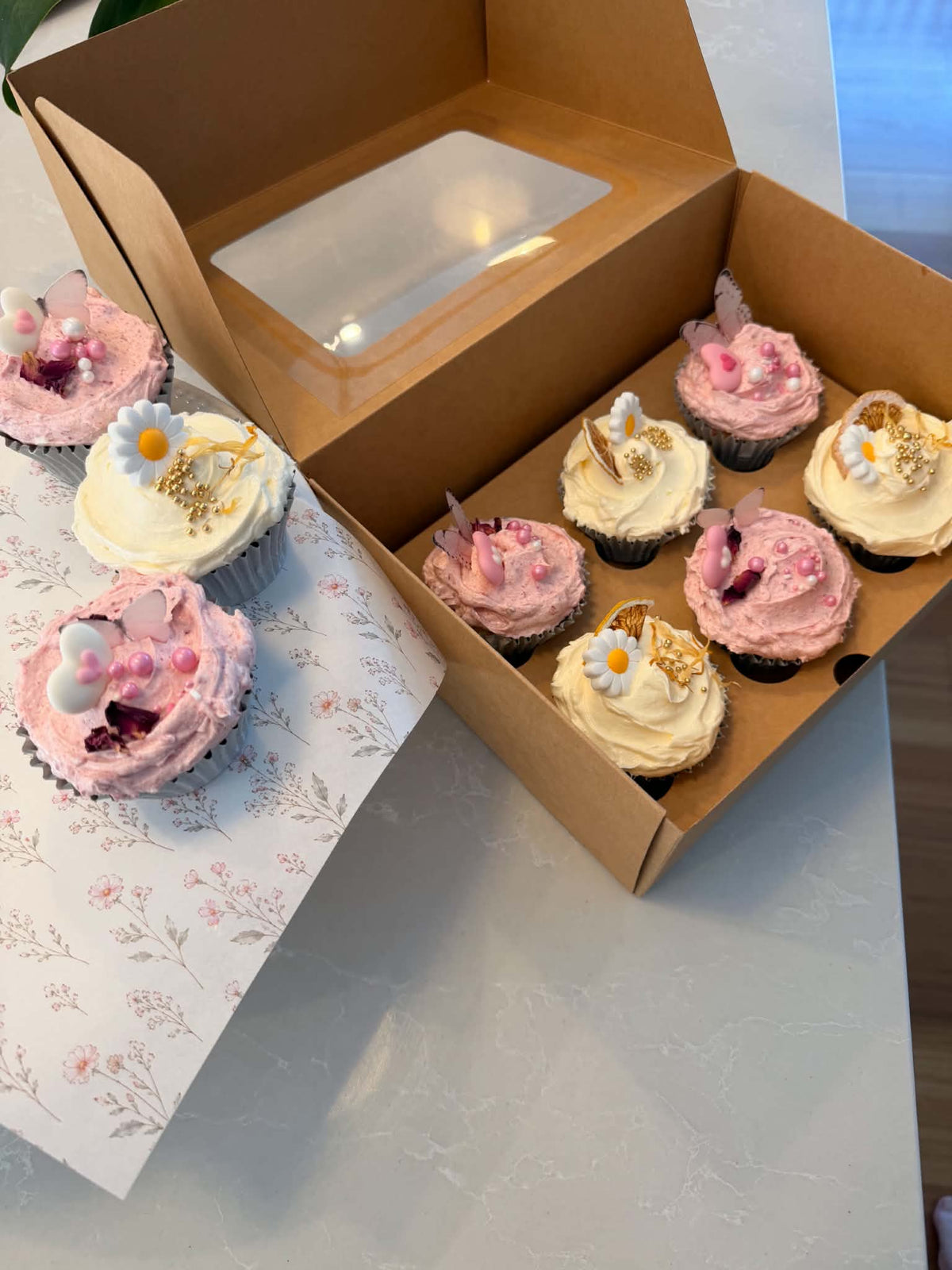 6 Hole Cupcake Insert - Kraft | 60mm 25 Pack
